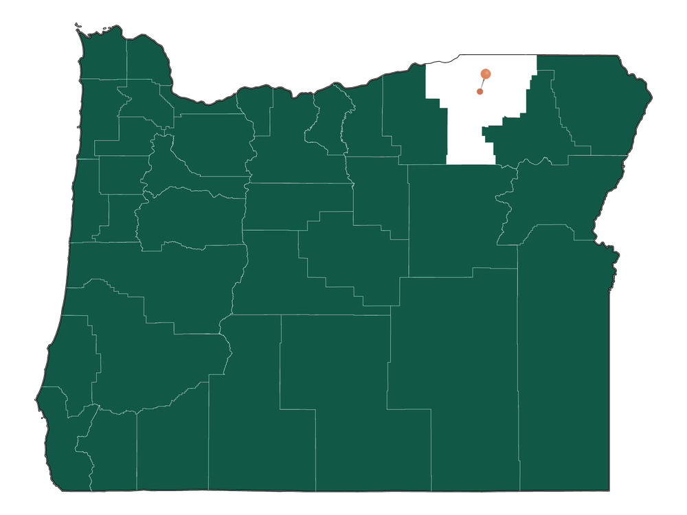 Cost of living in Gopher Flats, Oregon (Average Prices in Gopher Flats ...