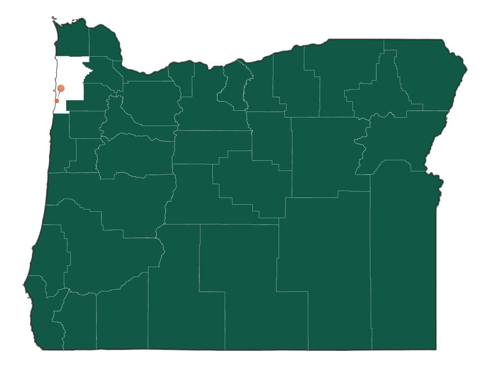 Safety in Pacific City, Oregon (crime rates and environmental hazards)