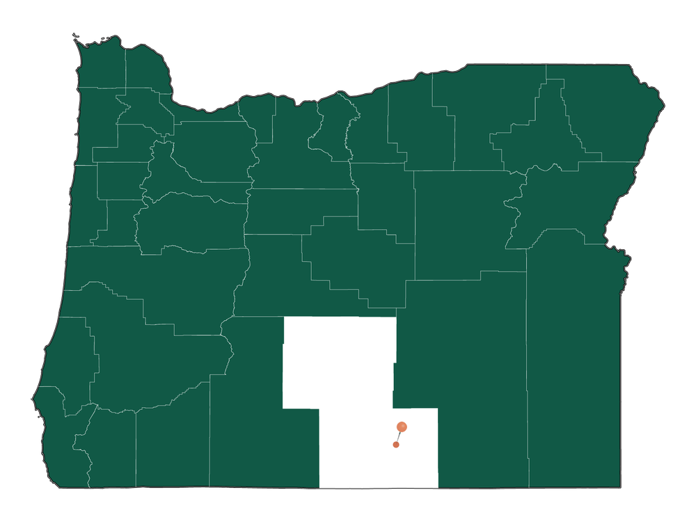 Moving to Plush, Oregon in 2023