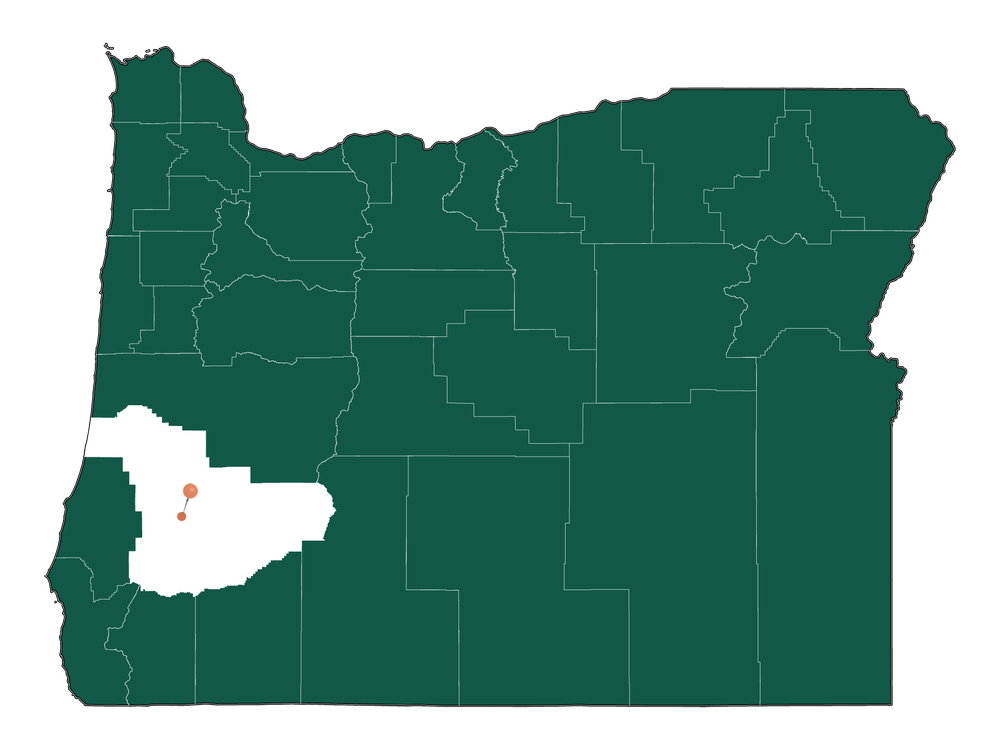 Cost of living in Roseburg, Oregon (Average Prices in Roseburg 2024)