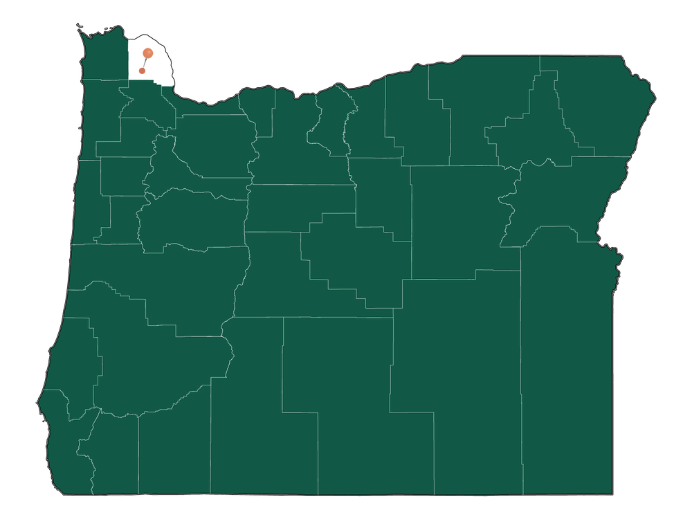 Safety in Vernonia, Oregon (crime rates and environmental hazards)