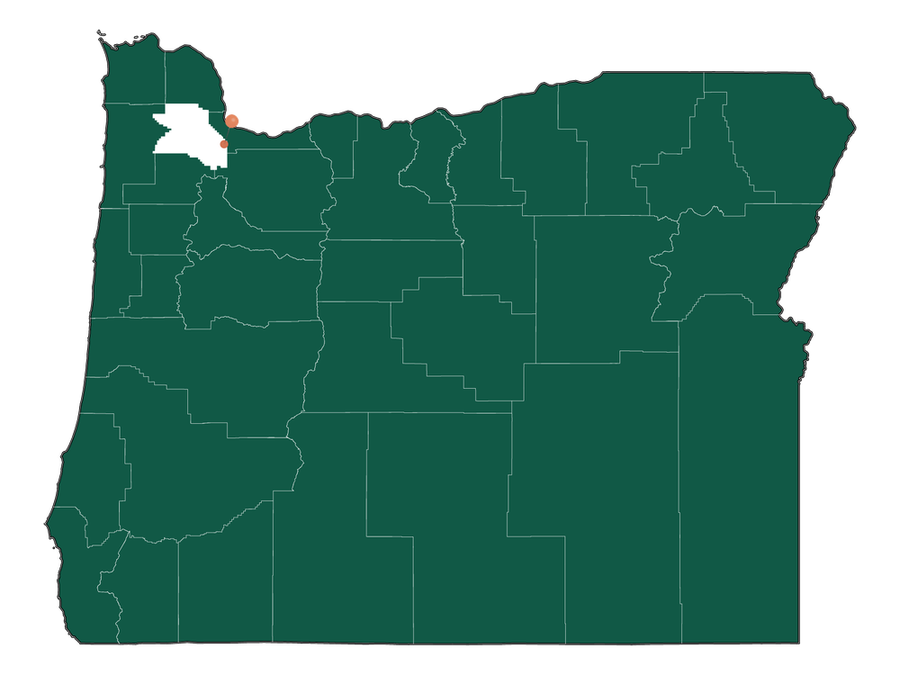 Moving to West Slope, Oregon in 2023