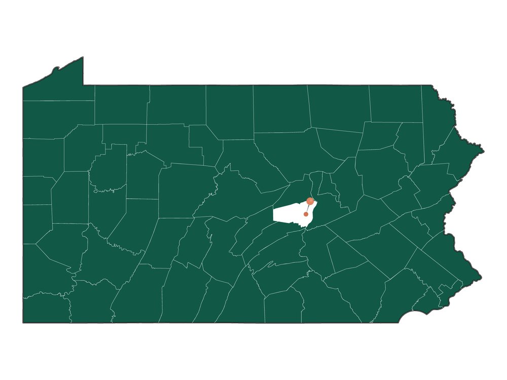 Moving to Freeburg borough, Pennsylvania in 2023