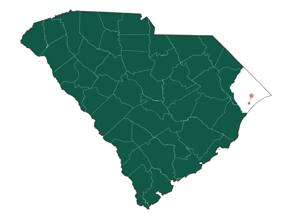 Safety in Forestbrook, South Carolina (crime rates and environmental