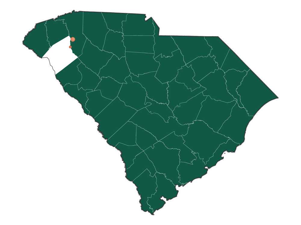 Moving to Pelzer, South Carolina in 2023