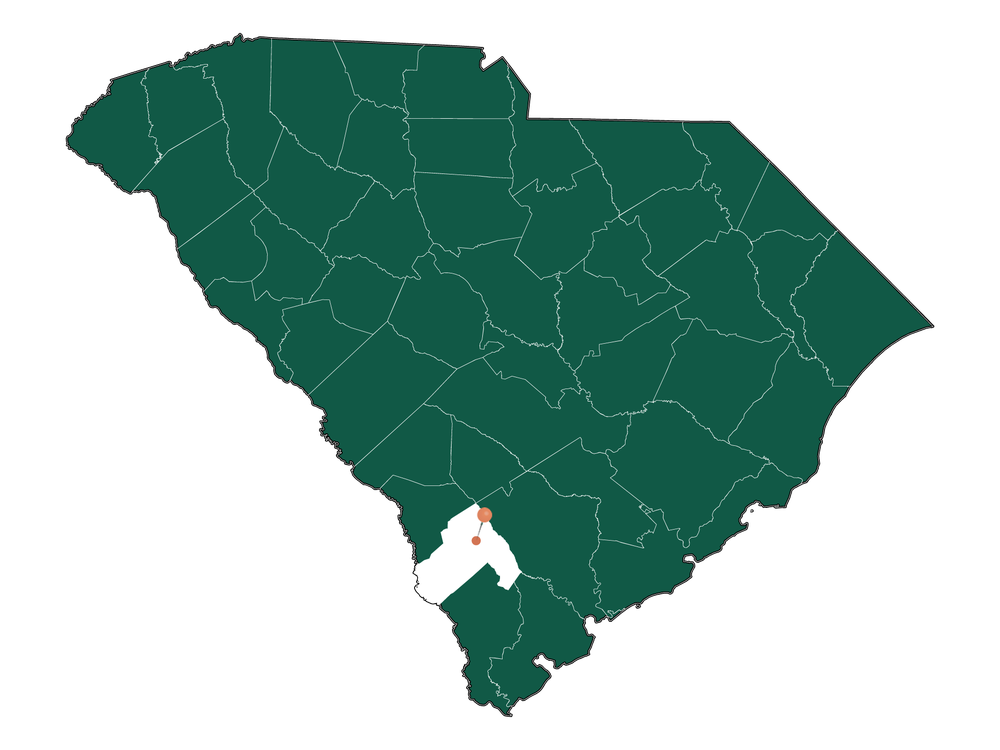 Pros and Cons of living in Varnville, South Carolina