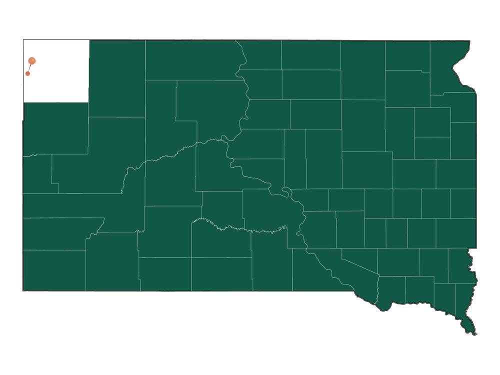 Population In Camp Crook, South Dakota Demographics)