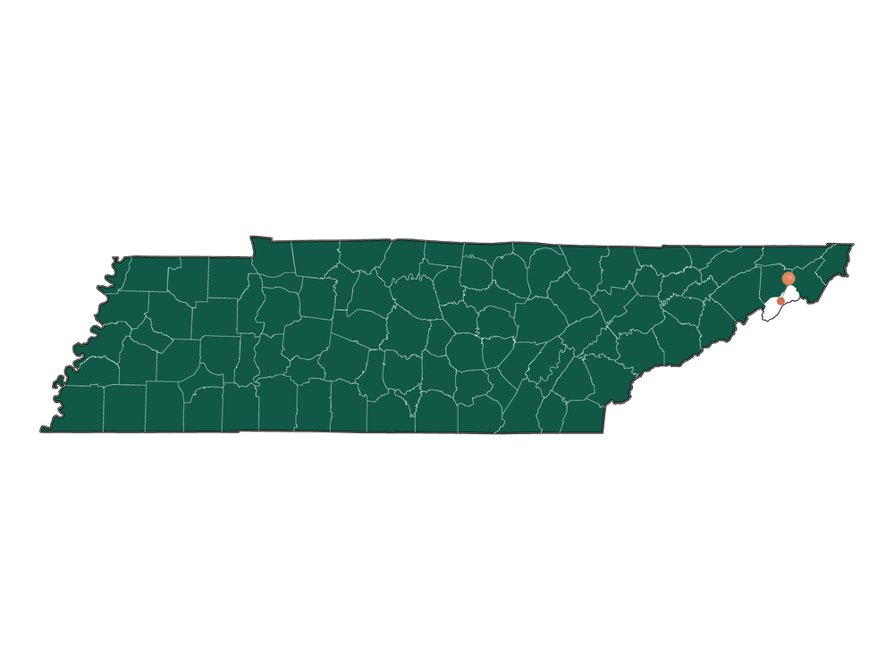 Schools in Banner Hill, Tennessee (Elementary, Middle и High Schools)