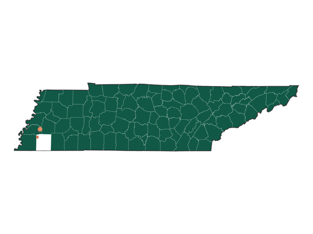 Infrastructure in Gallaway, Tennessee