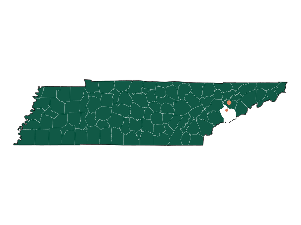 Climate In Sevierville, Tennessee (weather Averages)