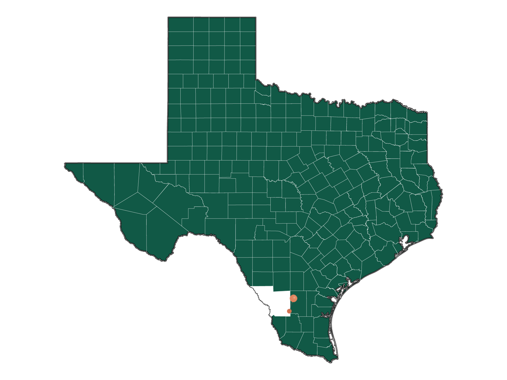 Zip Codes in Bruni, Texas