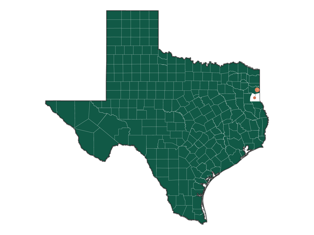 Zip Codes in Carthage, Texas
