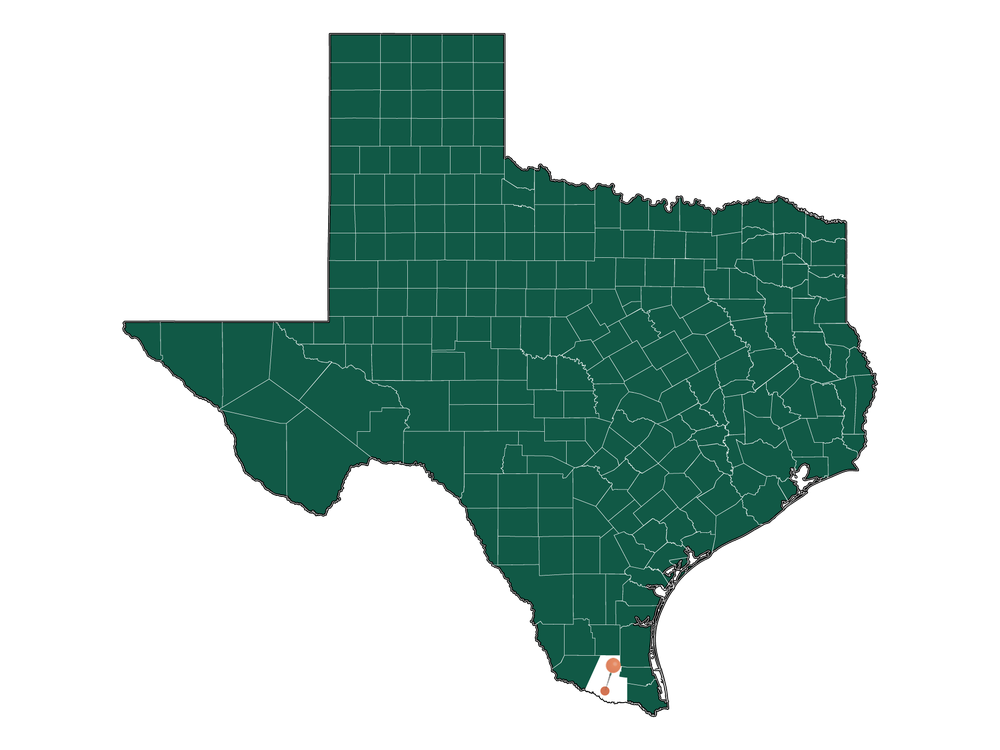 Population In McAllen, Texas Demographics)