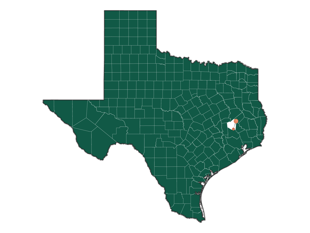 Climate in New Waverly, Texas (Weather Averages)