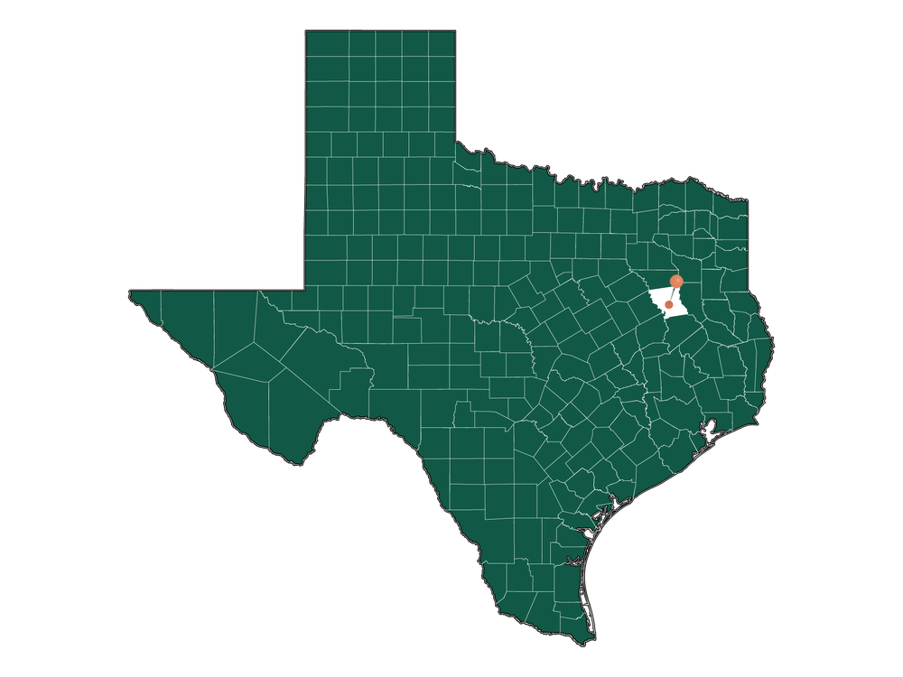 Moving to Palestine, Texas in 2023