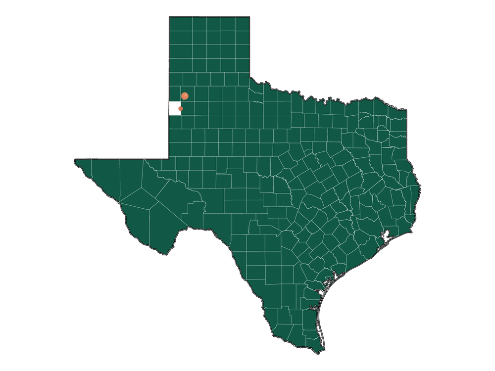 Infrastructure in Whiteface, Texas