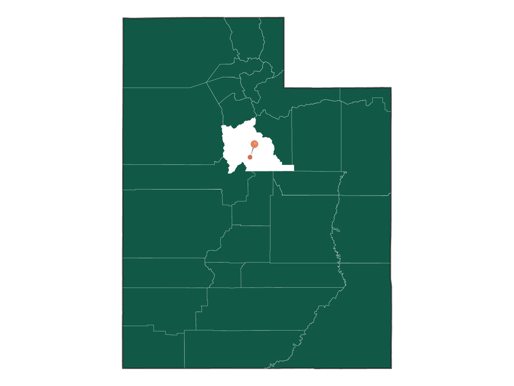 Moving to Elk Ridge, Utah in 2022