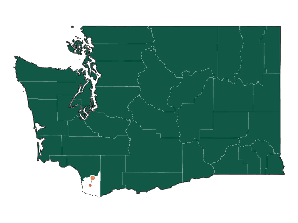 Population In Battle Ground, Washington (Community Demographics)