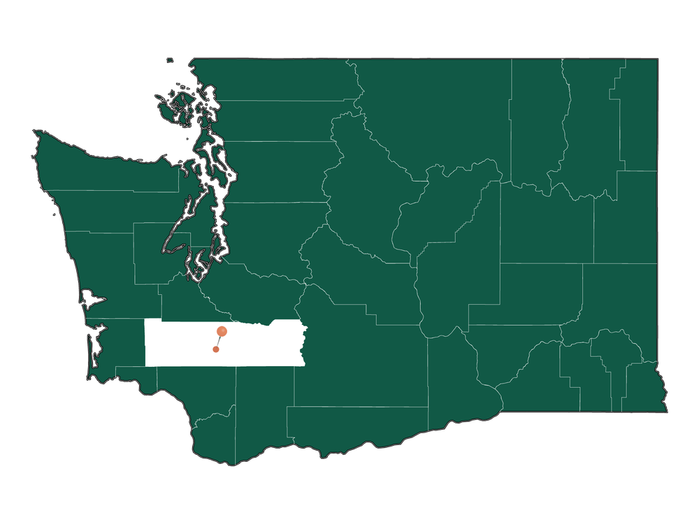 Infrastructure in Mossyrock, Washington