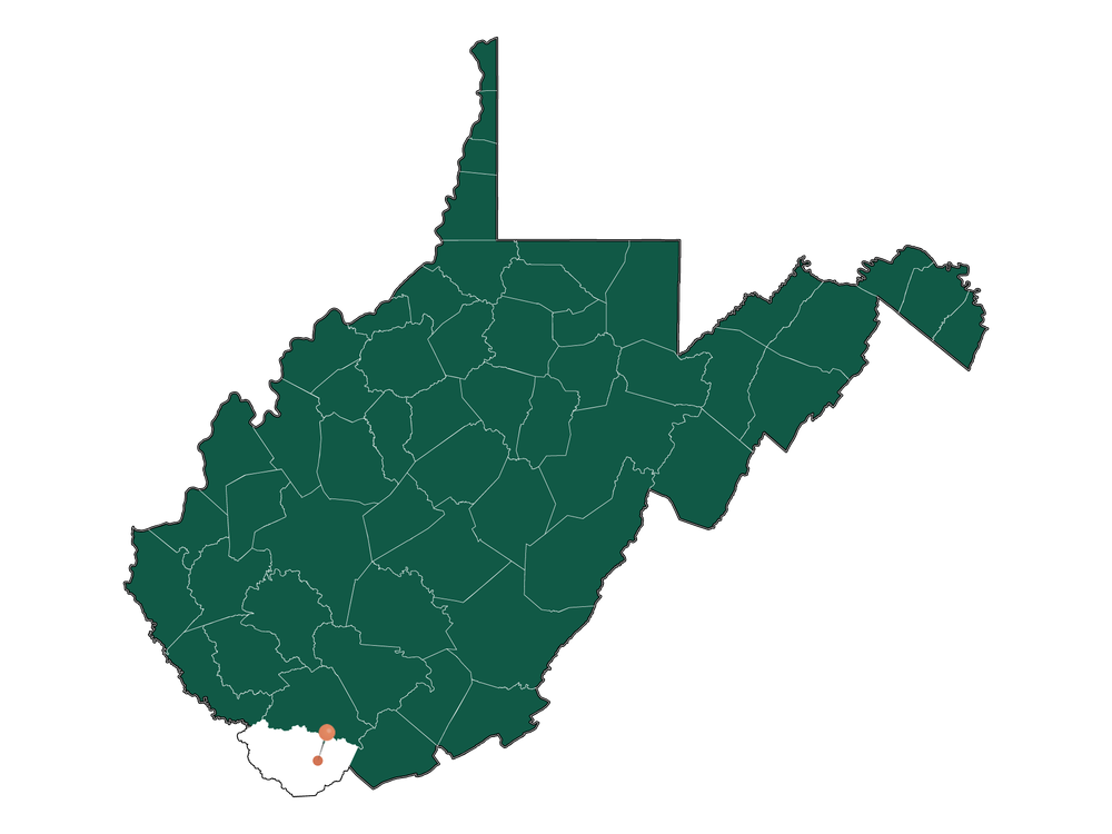 Moving to Gary, West Virginia in 2023