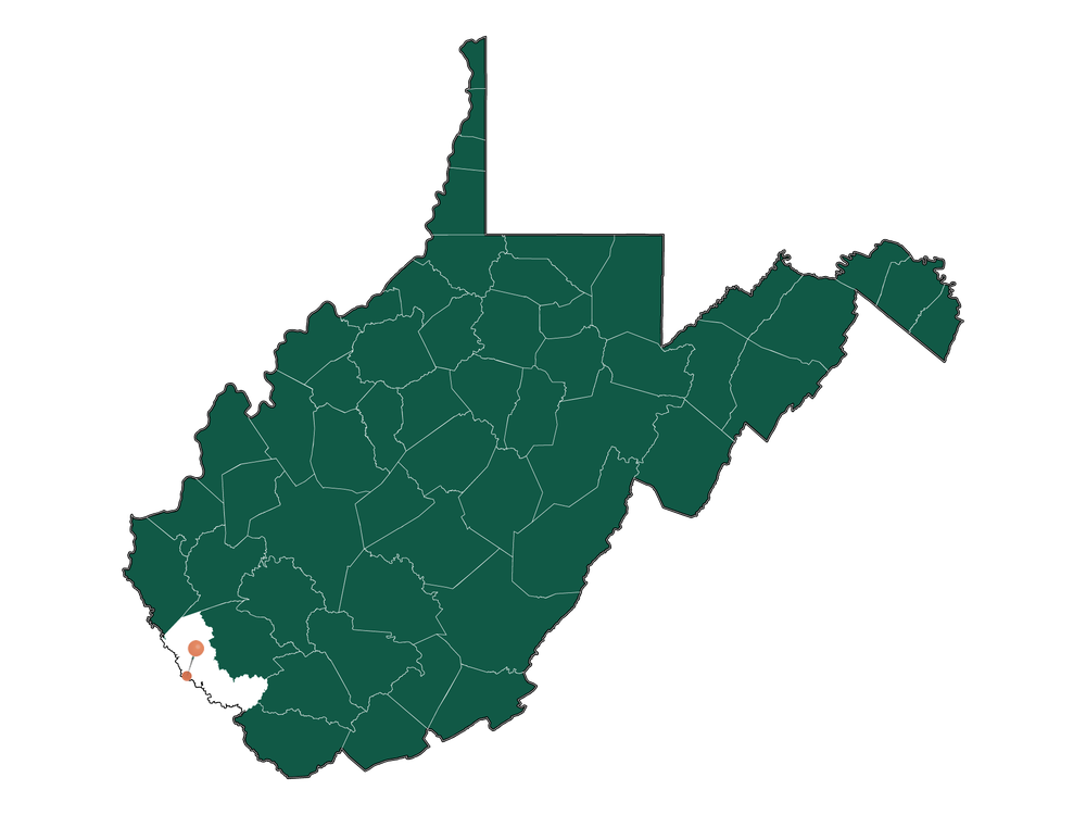 Safety in Williamson, West Virginia (crime rates and environmental hazards)