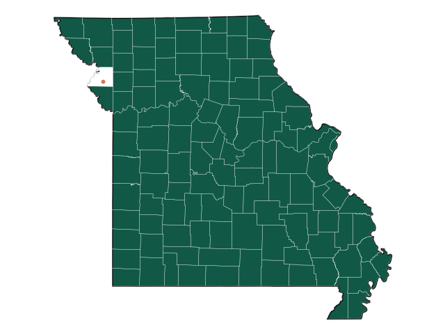 climate-in-faucett-missouri-detailed-weather-information